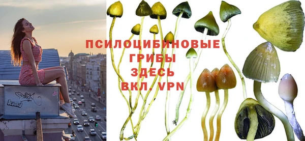 бутик Аркадак