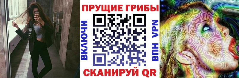 даркнет сайт  Мирный  Псилоцибиновые грибы GOLDEN TEACHER 